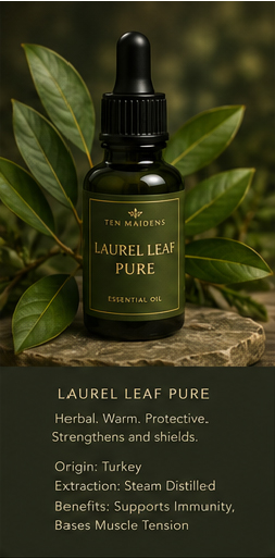 Laurel Leaf Pure