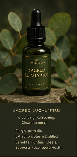 Sacred Eucalyptus